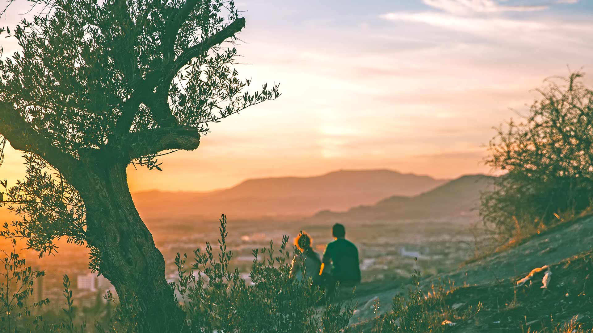 Andalucia - der kunne jeg gjerne ha bodd, der